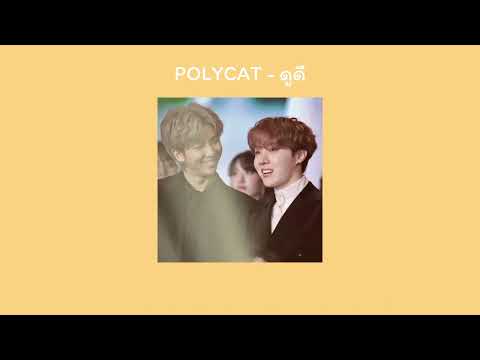 ดูดี-polycat(เนื้อเพลง)