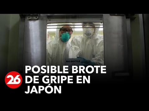 Gobierno japonés se prepara para un posible brote de gripe
