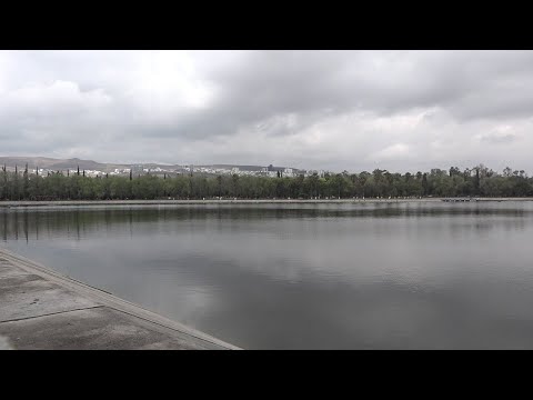 Con la lluvia, revive el lago del Parque Tangamanga