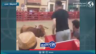 ثور يهاجم شاب بوحشية