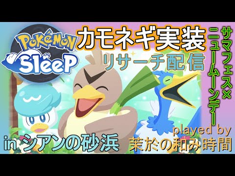 サマーフェス2025&NMD！【#ポケモンスリープ】カモネギのおこうとダークライかもん！シアンの砂浜＋７５％睡眠リサーチ♪Plus+所持。無課金のんびり攻略ポケスリPokémonSleep実況プレイ♪