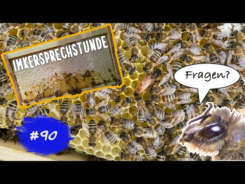 Imkersprechstunde #90 - Ihr habt Fragen zu den Bienen? - Wir geben Antworten –26.08.2025