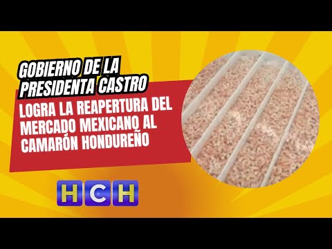 Gobierno de la presidenta Castro logra la reapertura del mercado mexicano al camarón hondureño
