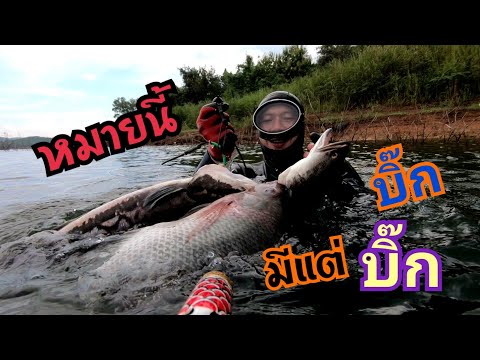 ดำน้ำยิงปลาอ่างเก็บน้ำห้วยลิ้น ดำน้ำยิงปลาอ่างเก็บน้ำห้วยลิ้น