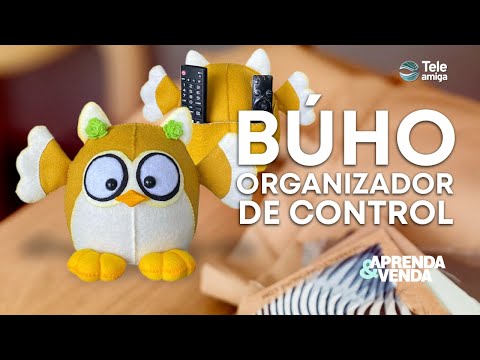BÚHO ORGANIZADOR DE CONTROLES en Aprenda y Venda - Teleamiga
