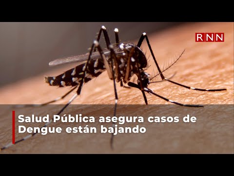 Salud Pública asegura casos de Dengue están bajando