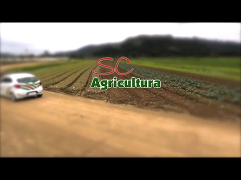 Confira a íntegra do programa SC Agricultura de sábado (27)!
