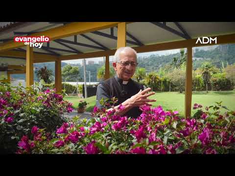 Evangelio de hoy Miercoles 11 de Septiembre Padre Efrai?n Arquidio?cesis de Manizales