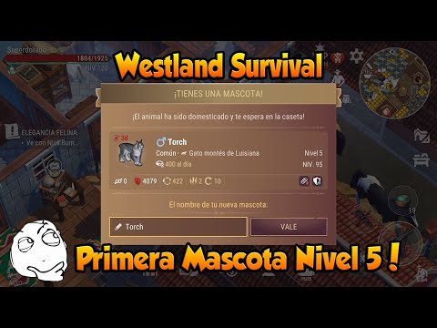 Westland Survival Primera Mascota Nivel 5!