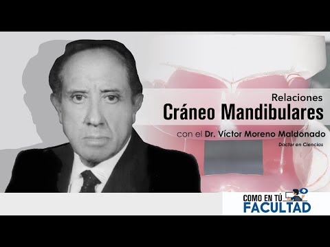 ?Relaciones Cráneo Mandibulares | Dr. Víctor Moreno Maldonado