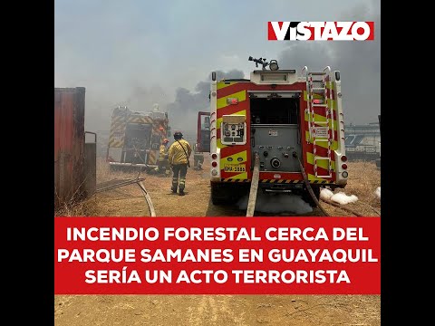 Incendio cerca del Parque Samanes en Guayaquil sería un acto terrorista | Microvistazo | Vistazo