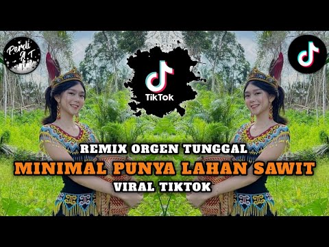 MINIMAL PUNYA LAHAN SAWIT || REMIX ORGEN TUNGGAL || ZONA GANJUR || By__Perdi AT