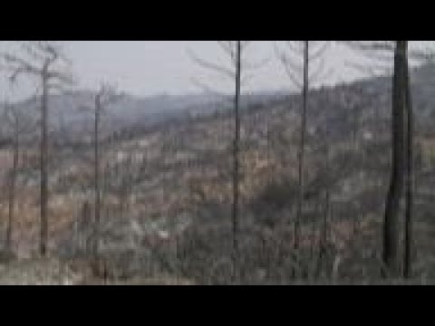 Greek wildfire destroys resin collectors' jobs