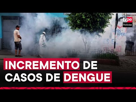 Dengue en Cajamarca: alerta por incremento de casos en el distrito de Magdalena