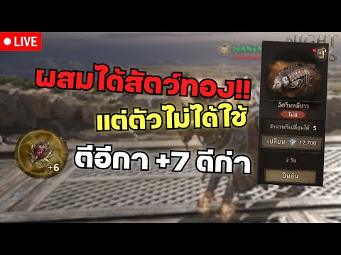 ผสมทองสัตว์ทองได้แต่ไม่ได้ใช้