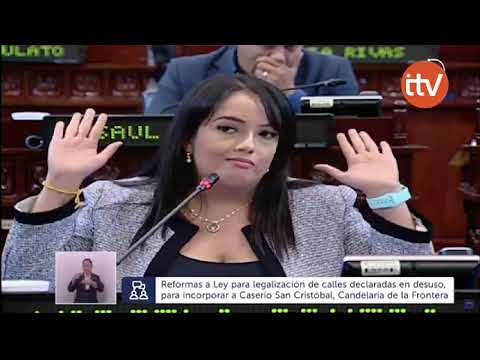 Marcela Pineda responde a diputados de oposición