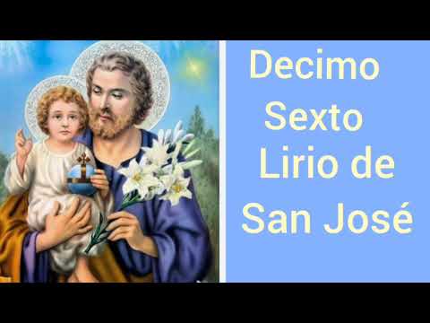Decimo sexto Lirio de San José