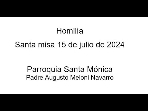 Homilía extraída de la Misa del 15 de julio del 2024