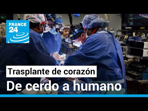 Cirujanos trasplantaron con éxito el corazón de un cerdo a un paciente terminal