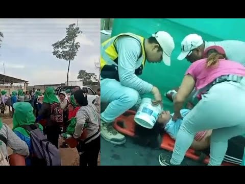 Intoxicación masiva en Chepén: 180 trabajadores afectados por inhalar gases químicos