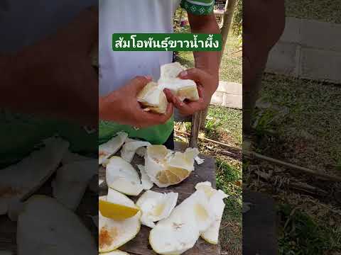 ส้มโอพันธุ์ขาวน้ำผึ้งเนื้อแห้