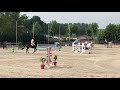 Show jumping horse Fijne 7 jarige merrie