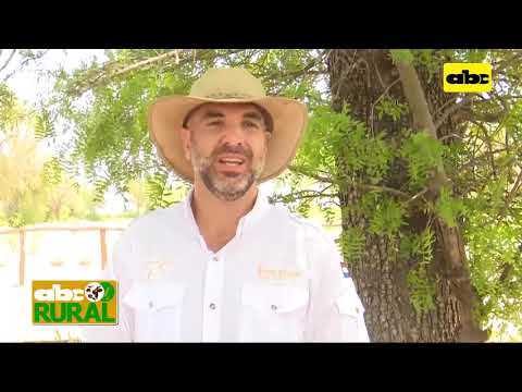 ABC Rural: Ganadería en La Patria, Chaco, e incursión a agricultura