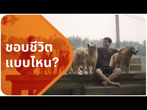 คุณชอบใช้ชีวิตแบบไหน คุณชอบใช้ชีวิตแบบไหน