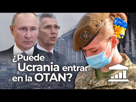 ¿Puede UCRANIA defenderse de un ataque de PUTIN - VisualPolitik