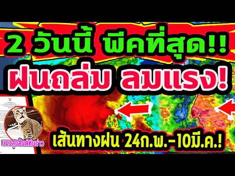 แมวสุขสันต์ ทันข่าว ฝนถล่มลมแรง!!2วันนี้พีคที่สุดทุกภาคฝนตกลมกระโชกแรงหนาวจ่อพยา