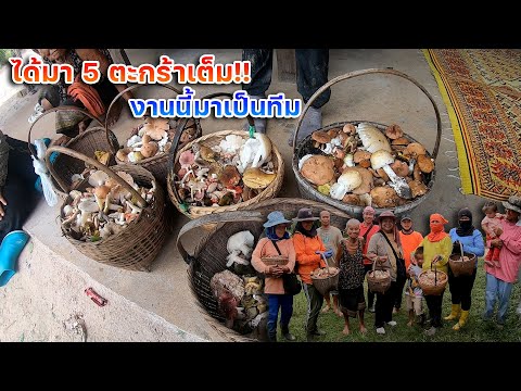 ได้มา-5-ตะกร้าเต็ม!!-งานนี้มาเ ได้มา-5-ตะกร้าเต็ม!!-งานนี้มาเ