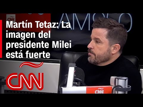 Martín Tetaz: La imagen del presidente Milei está fuerte