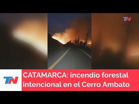 CATAMARCA I Incendio forestal intencional. Se quemaron 320 hectáreas en el cerro Ambato