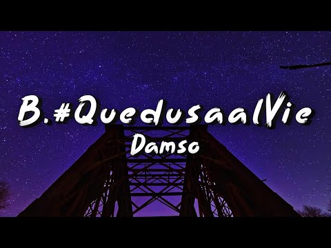 B. #QuedusaalVie - Damso (Paroles/Lyrics)
