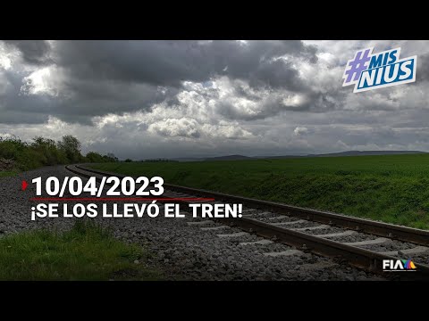 #MisNius | ¡Otro que se lo lleva el tren por querer ganarle el paso!