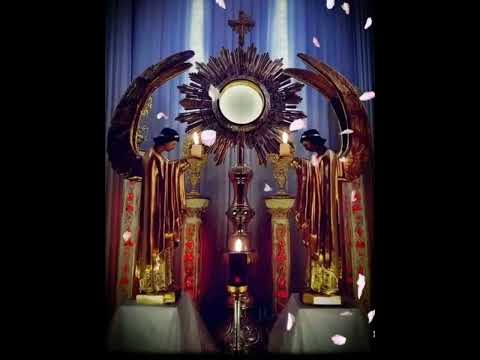 CINCO MINUTOS CON JESÚS SACRAMENTADO  Viernes 16 de Agosto de 2024