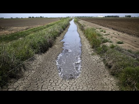 Déficit hídrico: MGAP extenderá la emergencia agropecuaria por cinco meses