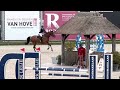 Show jumping horse Top 6 year old