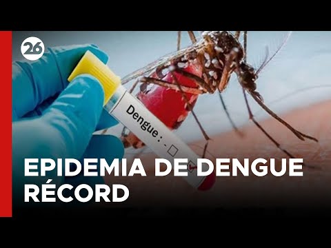 ARGENTINA | La epidemia de dengue podría superar el récord del año pasado