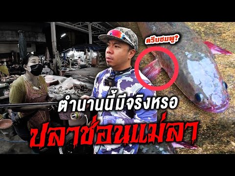 ตามล่า!!-ปลาแม่ลา-!!-ตำนานนี้ม ตามล่า!!-ปลาแม่ลา-!!-ตำนานนี้ม