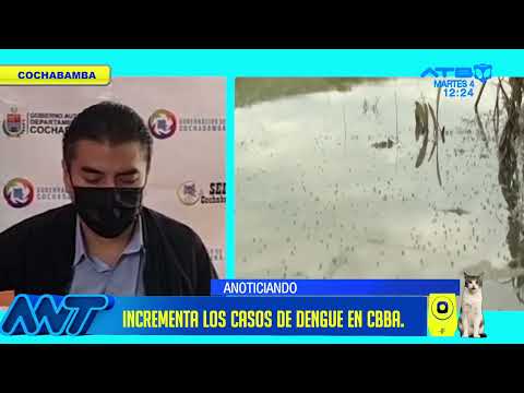 SEDES de Cochabamba reporta 355 casos de dengue en la última semana