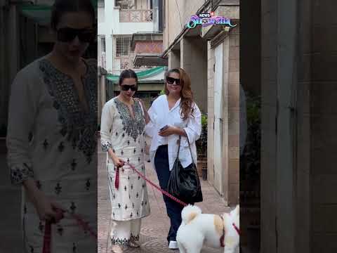 Malaika Arora & Amrita Arora Look Dashing As They Walk Their Dog Together | #ViralShorts N18S