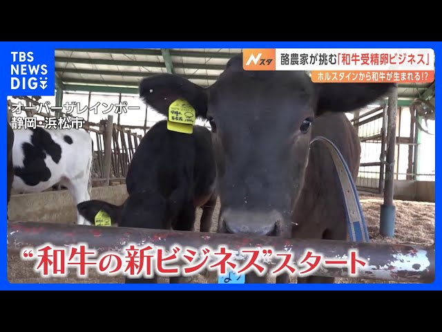 Image of Rat Found in Miso Soup at Sukiya in Tottori, Company Issues Apology