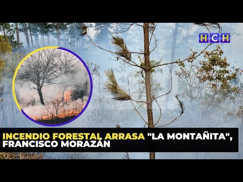 incendio forestal arrasa La Montañita, Francisco Morazán