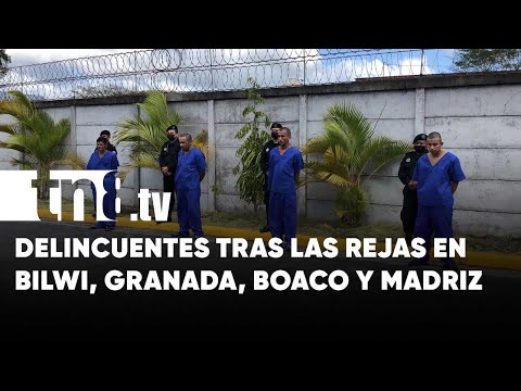 Bilwi, Granada, Boaco y Madriz presentan a delincuentes presos - Nicaragua
