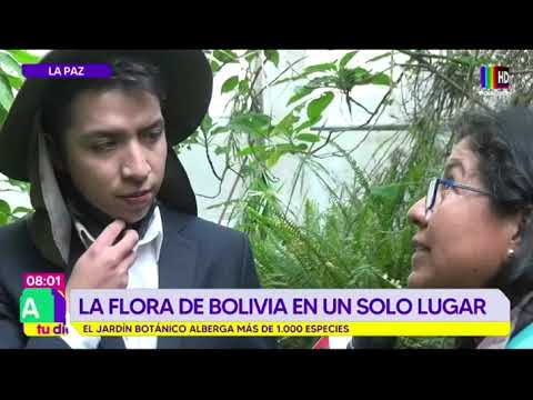 La flora de Bolivia en un solo lugar