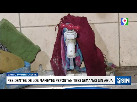 Tres semanas sin agua tienen en Los Mameyes de SDE | Emisión Estelar SIN con Alicia Ortega