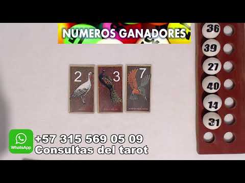 Numeros para la suerte y lectura del tarot