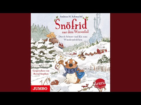 Kapitel 13.6 & Kapitel 14 & Kapitel 15.1 - Snöfrid aus dem Wiesental. Durch Schnee und Eis zum...