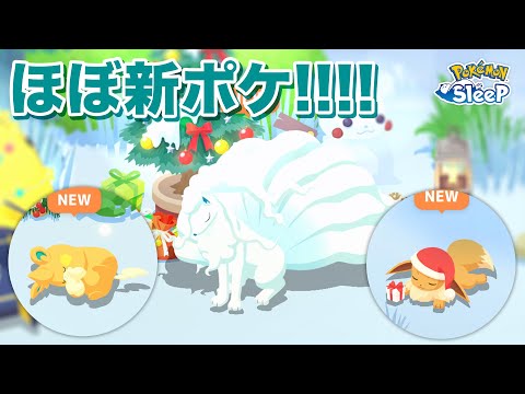 【ポケモンスリープ】アローラキュウコン！パモット！新ポケ祭り！！神リサーチ！！